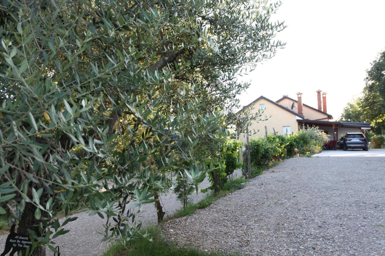 Klan Klara House Apartment Portoroz Exterior photo